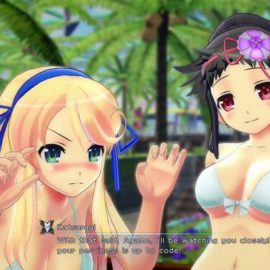 Senran Kagura: Peach Beach Splash Release Date Finally Revealed!